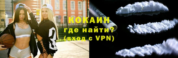 PSILOCYBIN Инсар