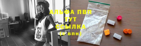 PSILOCYBIN Инсар
