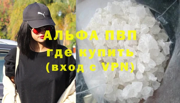 PSILOCYBIN Инсар