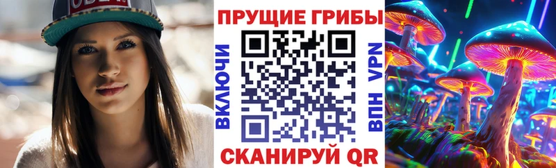 Купить где  Ирбит  Галлюциногенные грибы Cubensis 